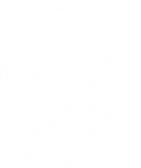 EV Cozmo
